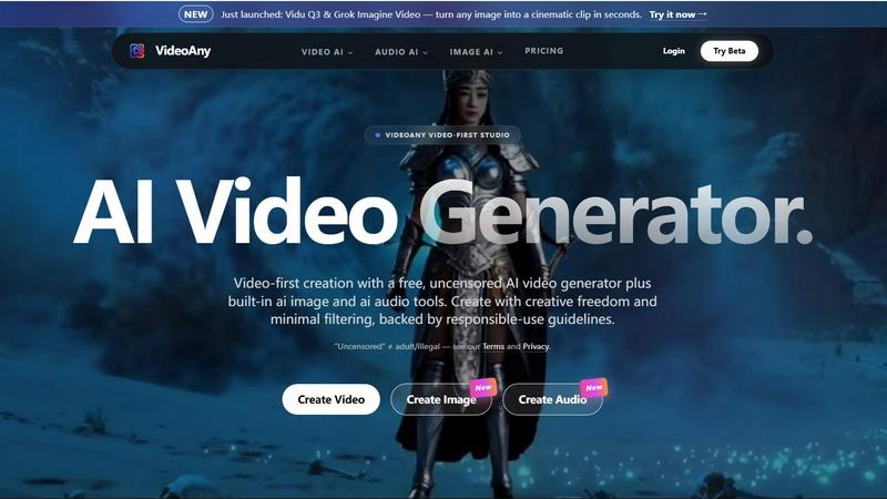 VideoAny screenshot